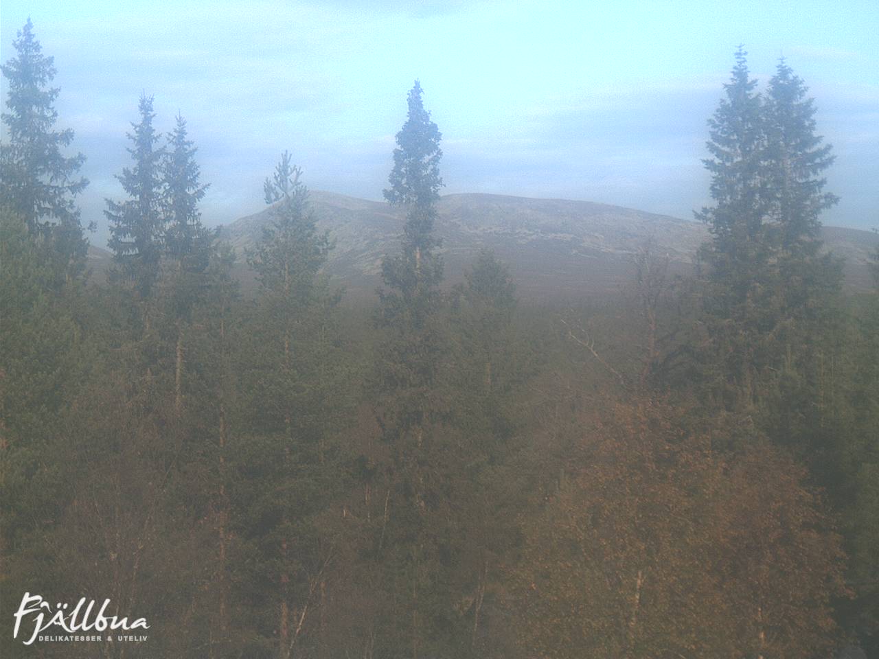 Fjällbua webcam 2024-09-15 10:30