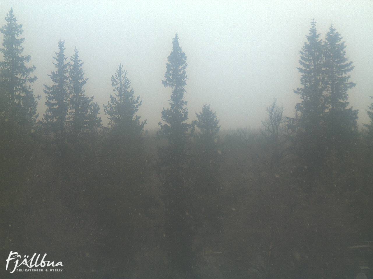 Fjällbua webcam 2024-10-28 10:00