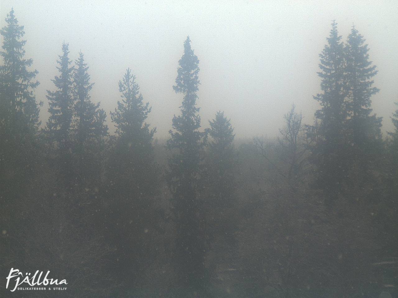 Fjällbua webcam 2024-10-28 10:30