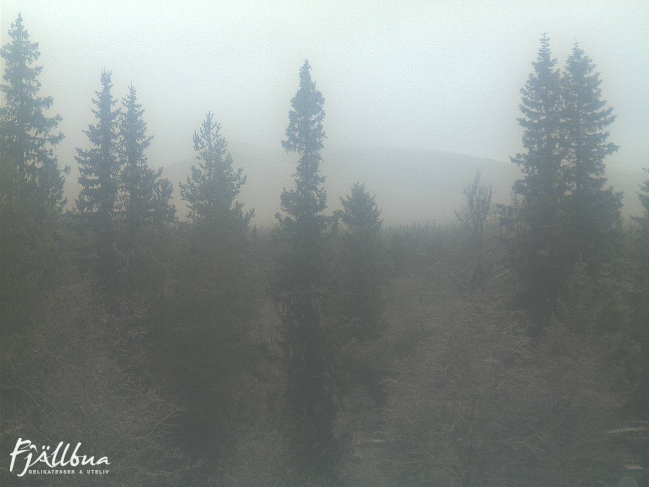 Fjällbua webcam 2024-10-28 11:00