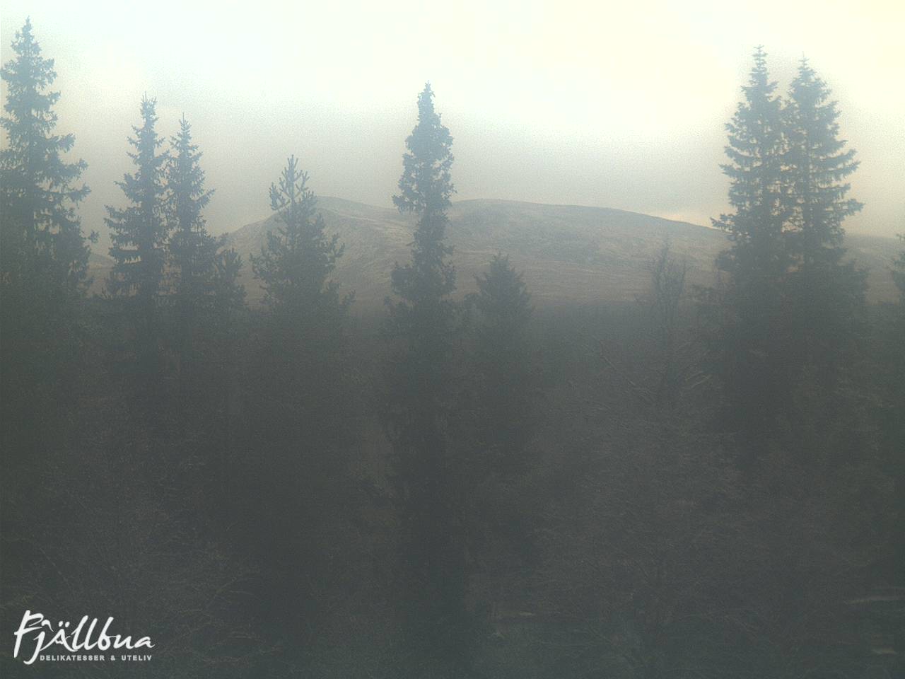 Fjällbua webcam 2024-10-28 11:30