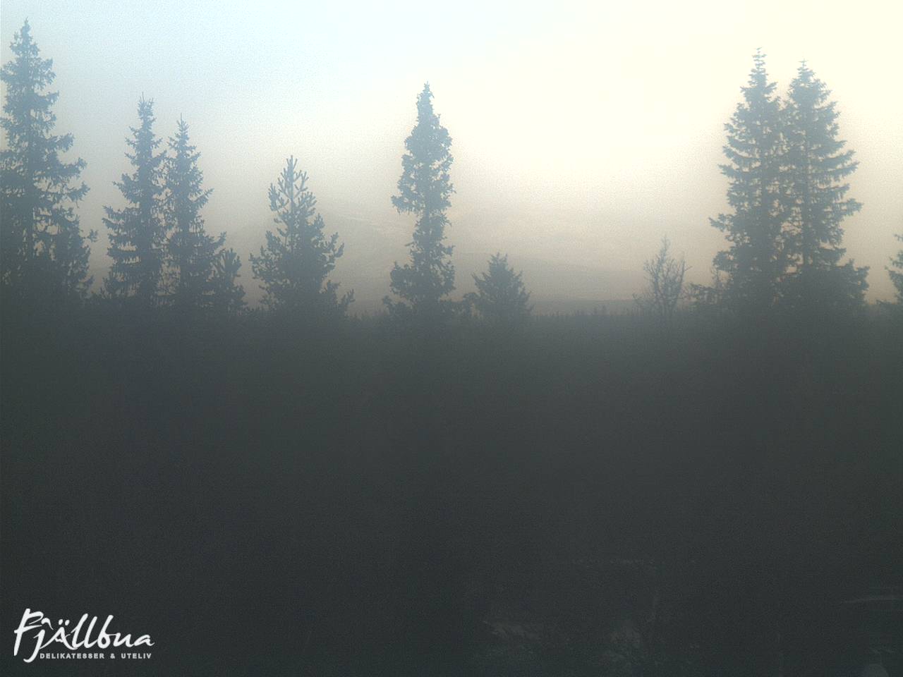 Fjällbua webcam 2024-10-28 13:30