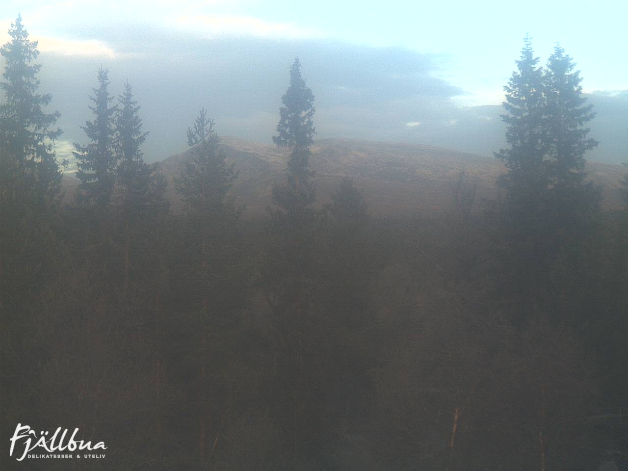 Fjällbua webcam 2024-10-29 09:00