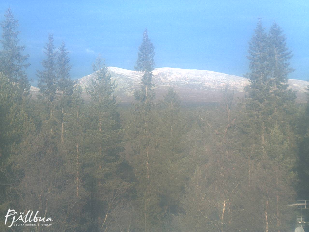 Fjällbua webcam 2024-10-29 09:30
