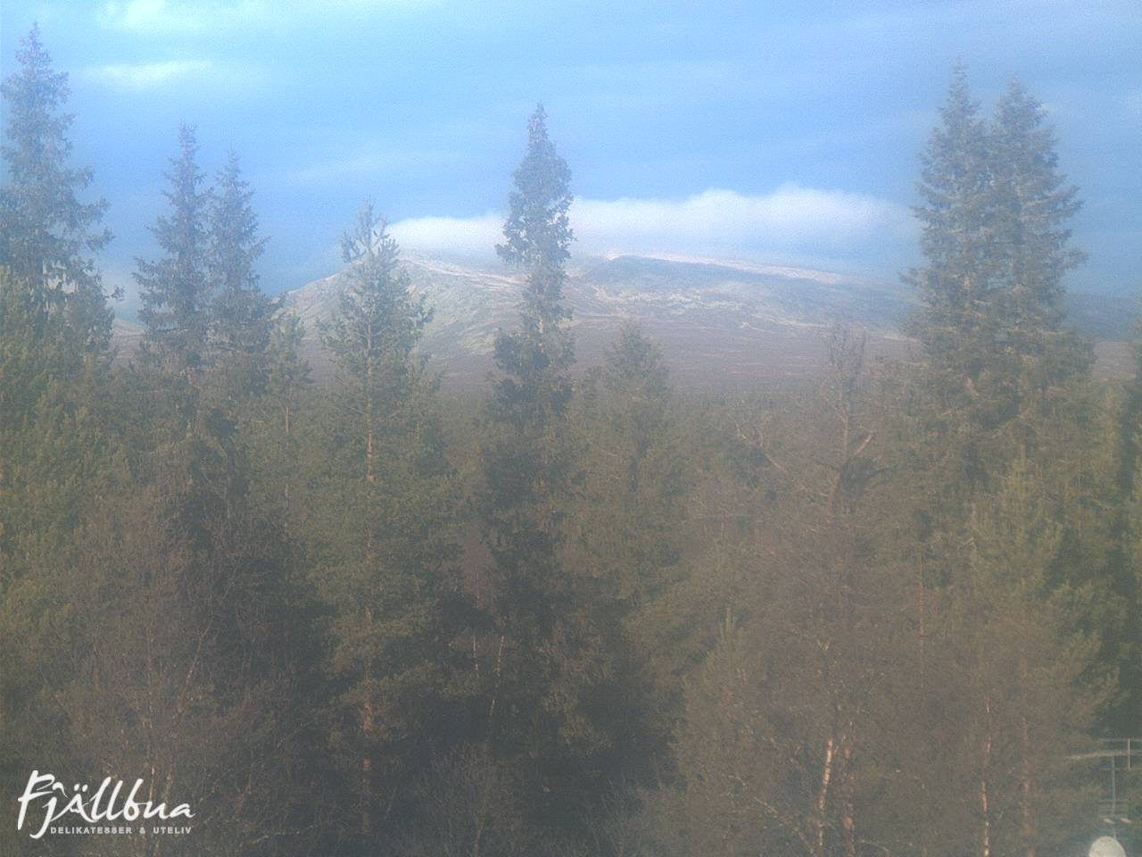 Fjällbua webcam 2024-10-29 10:30