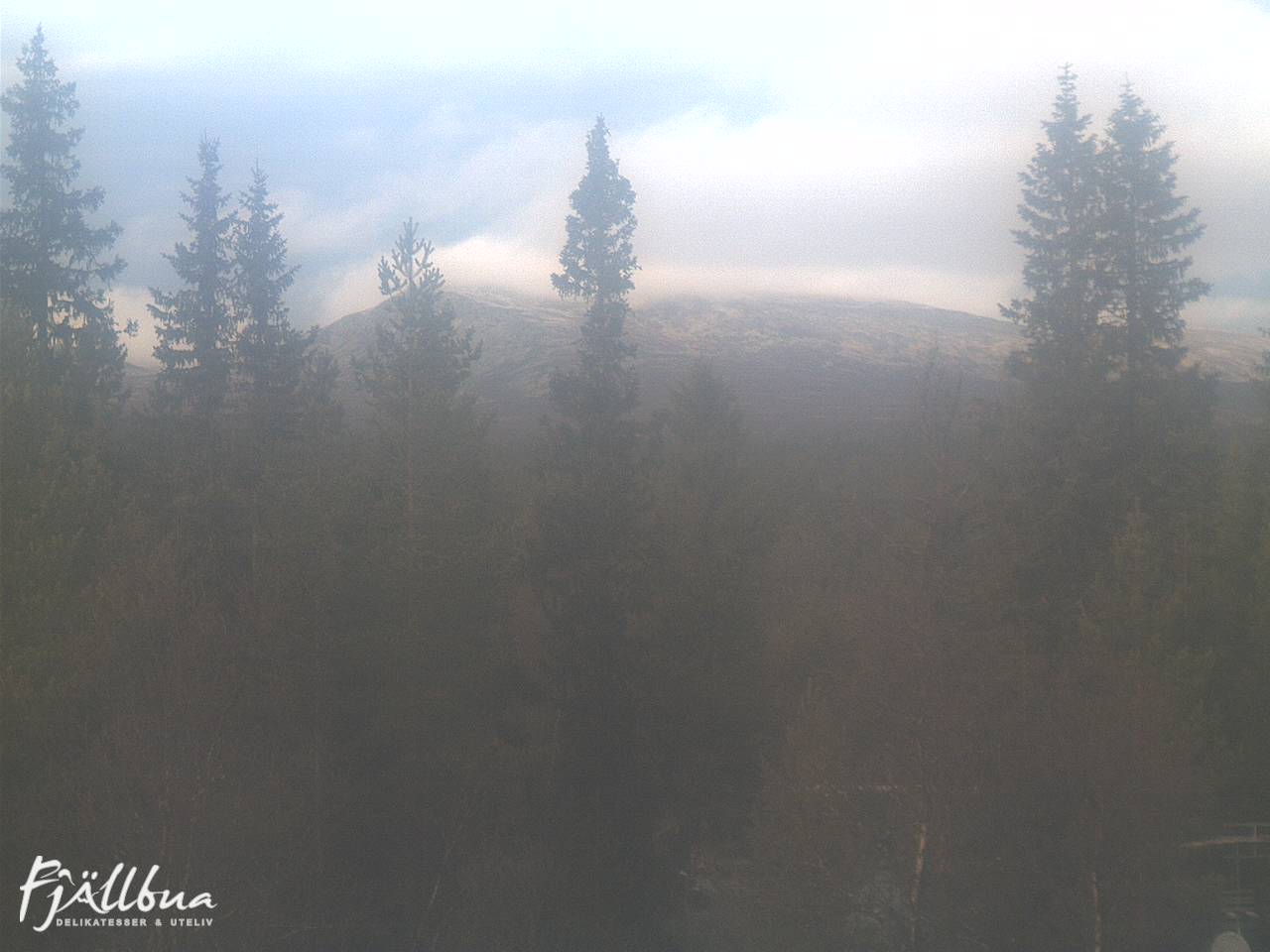 Fjällbua webcam 2024-10-29 11:30