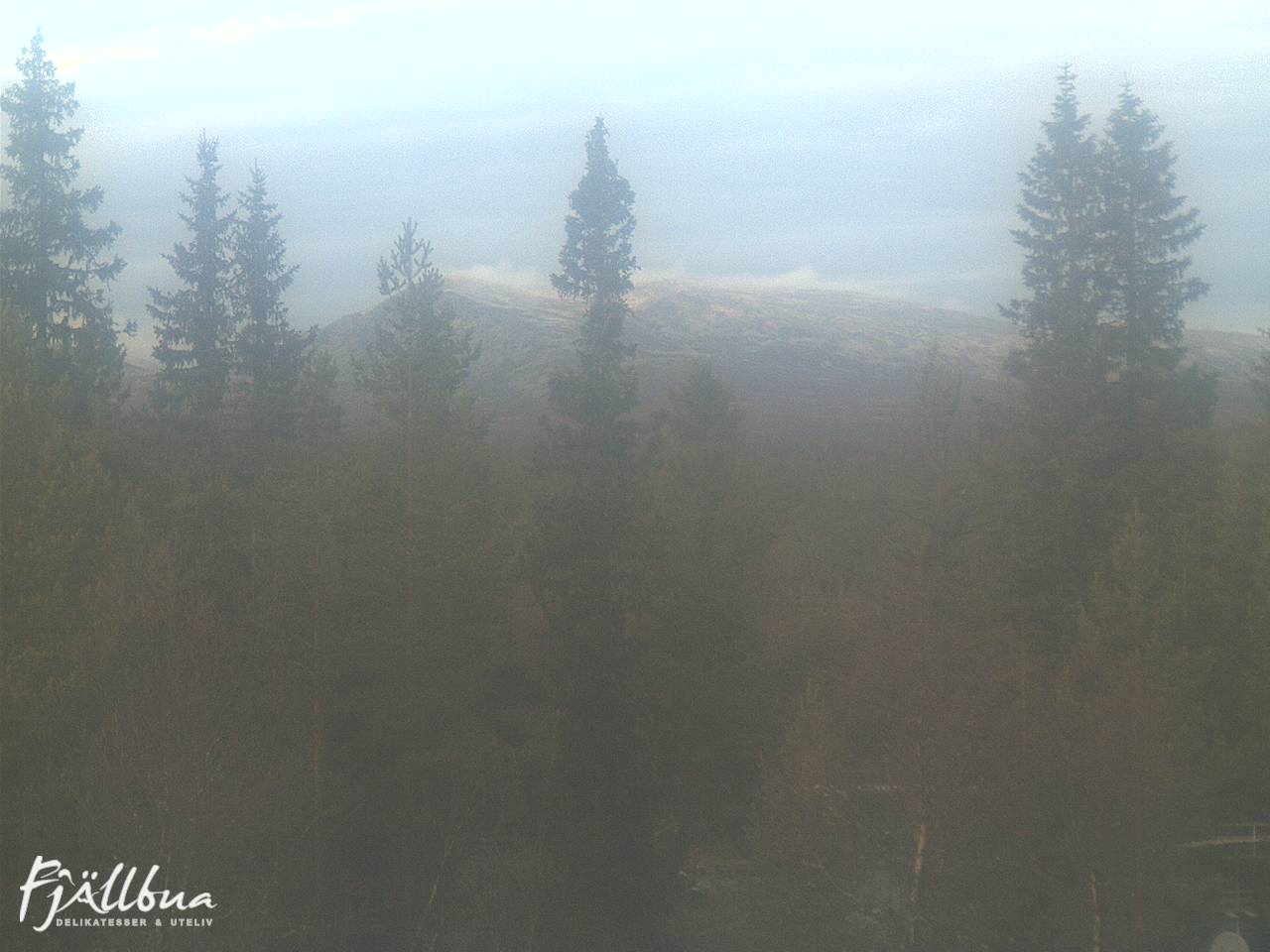 Fjällbua webcam 2024-10-29 12:00