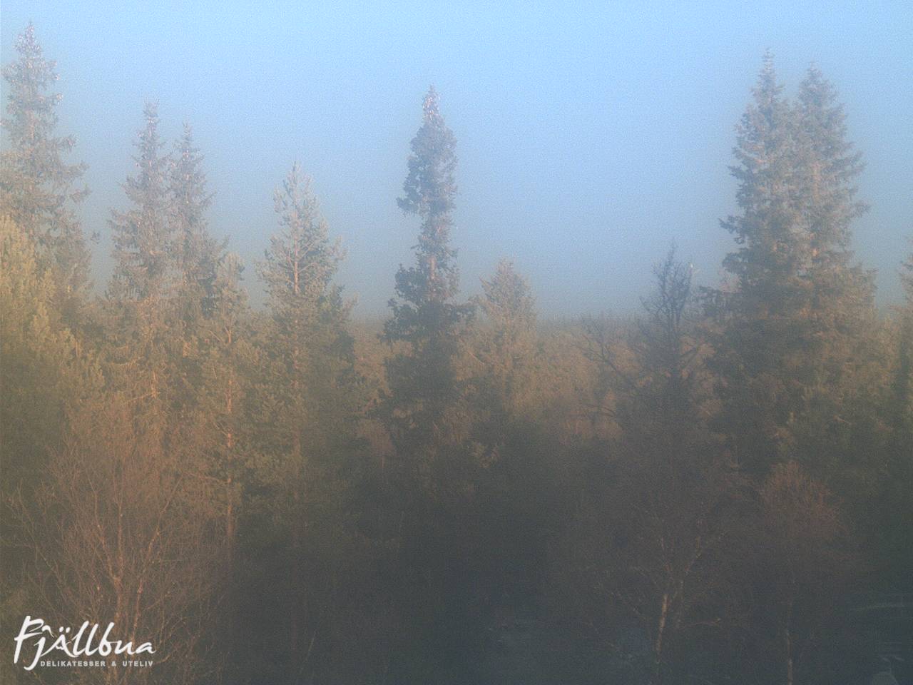 Fjällbua webcam 2024-10-30 08:00