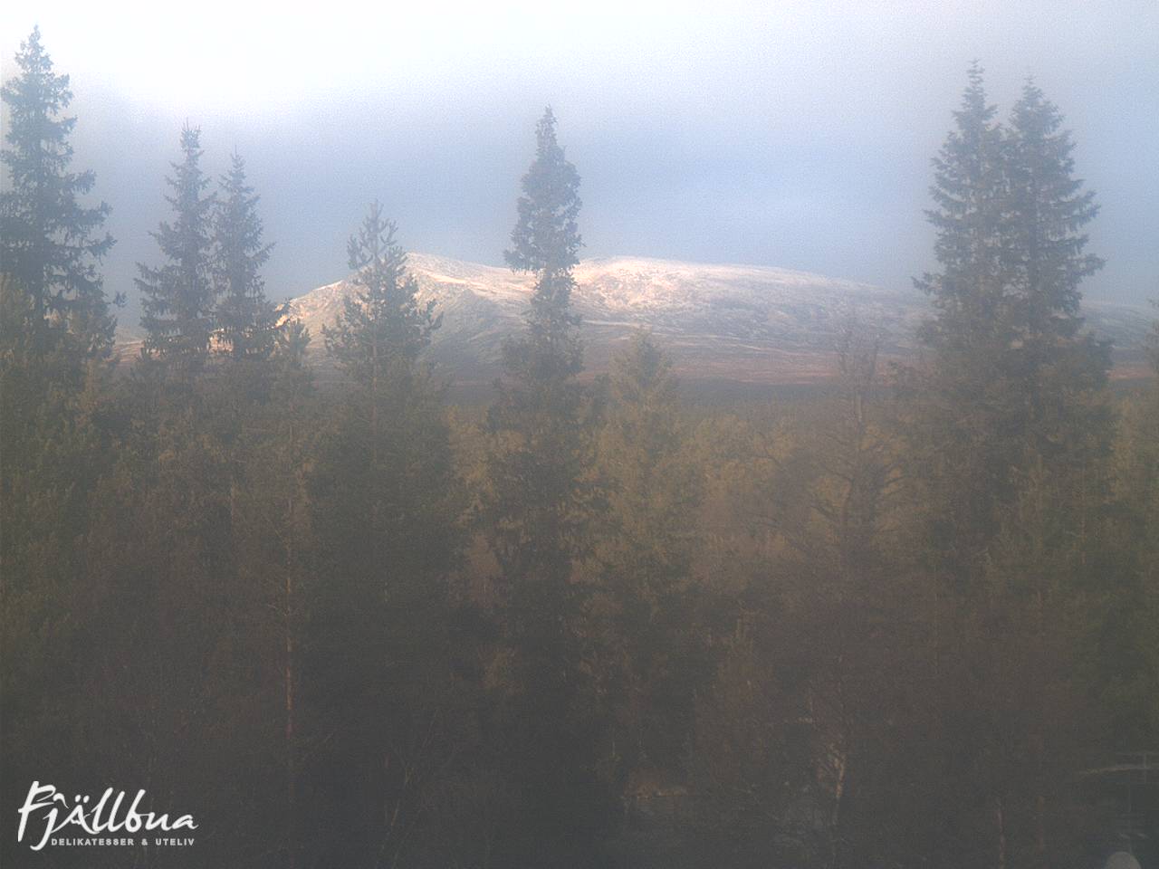 Fjällbua webcam 2024-10-30 12:00