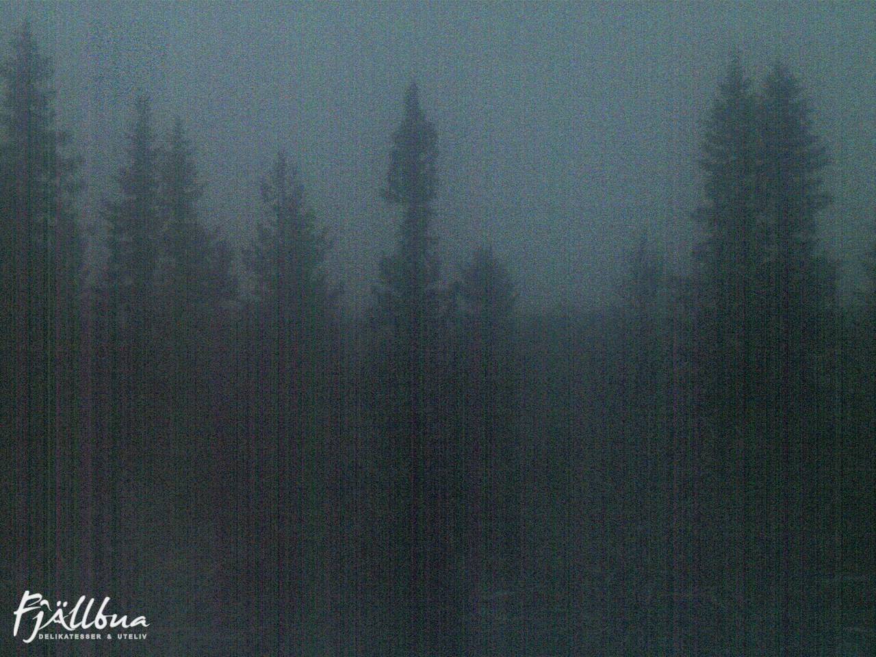 Fjällbua webcam 2024-10-31 07:00