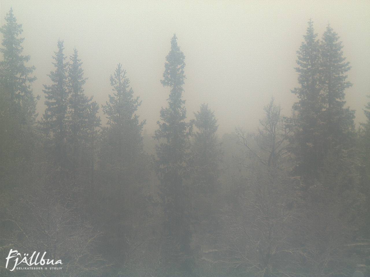 Fjällbua webcam 2024-10-31 08:00