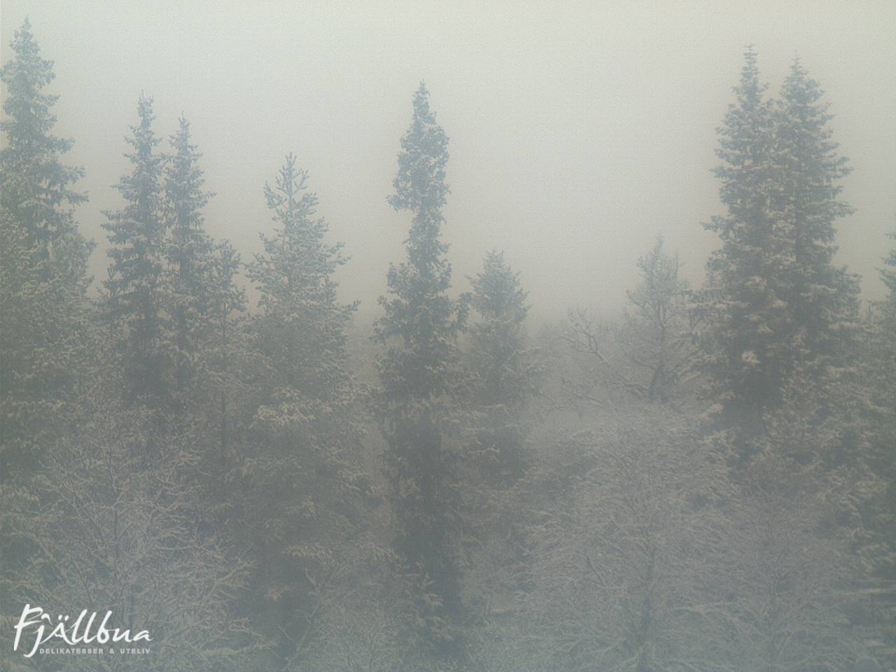 Fjällbua webcam 2024-10-31 10:30