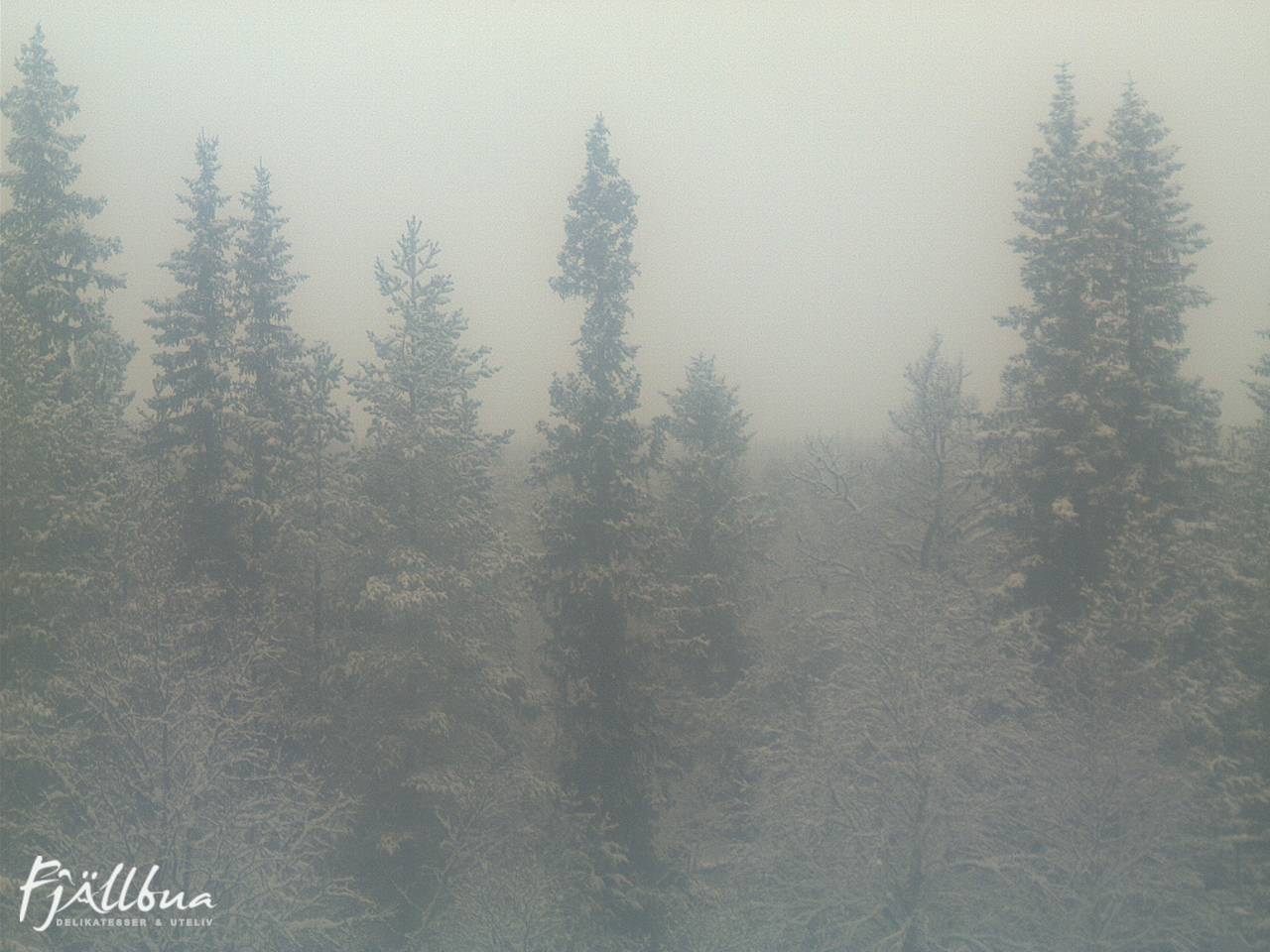 Fjällbua webcam 2024-10-31 11:30