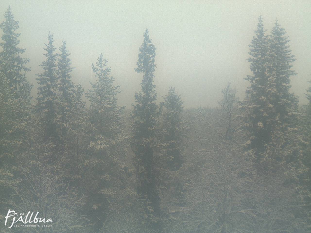 Fjällbua webcam 2024-10-31 12:00