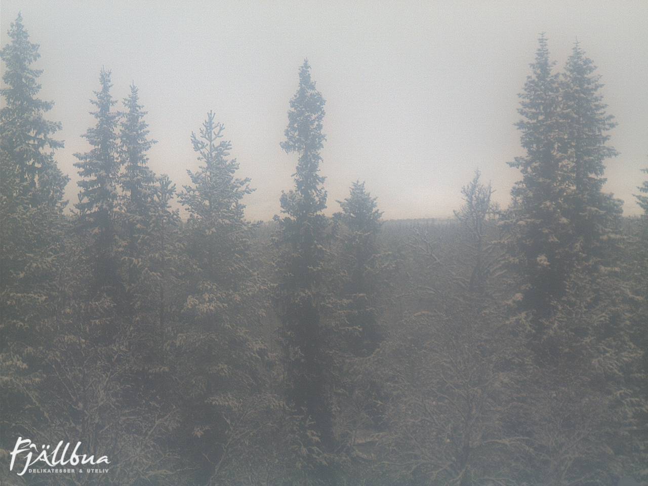 Fjällbua webcam 2024-10-31 12:30