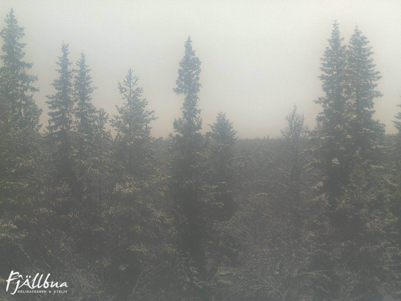 Fjällbua webcam 2024-10-31 13:30