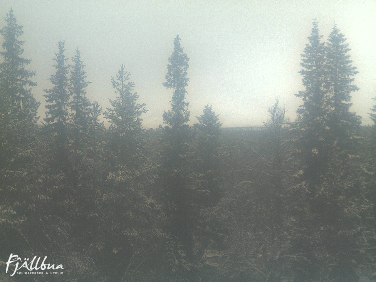 Fjällbua webcam 2024-10-31 14:00
