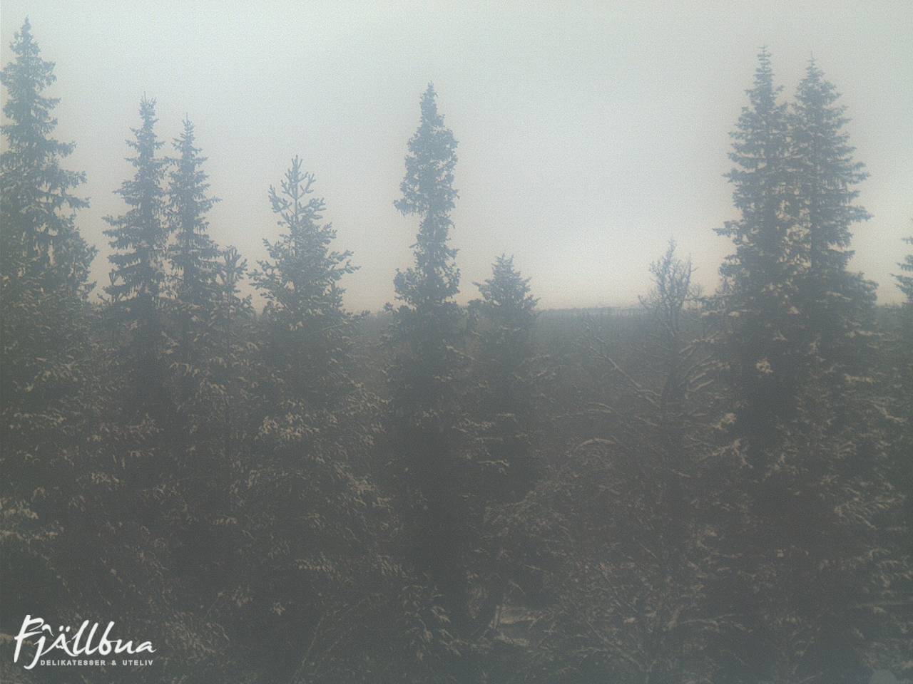 Fjällbua webcam 2024-10-31 14:30