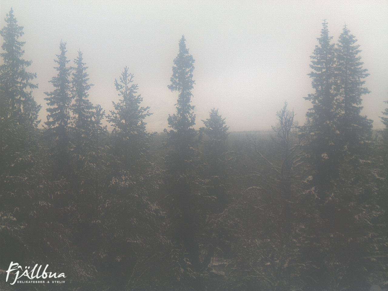 Fjällbua webcam 2024-10-31 15:00