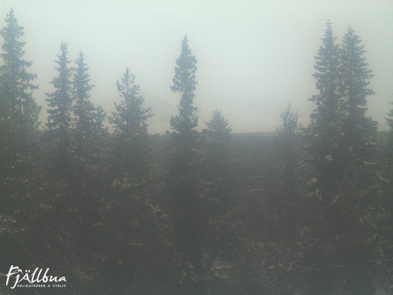 Fjällbua webcam 2024-10-31 15:30