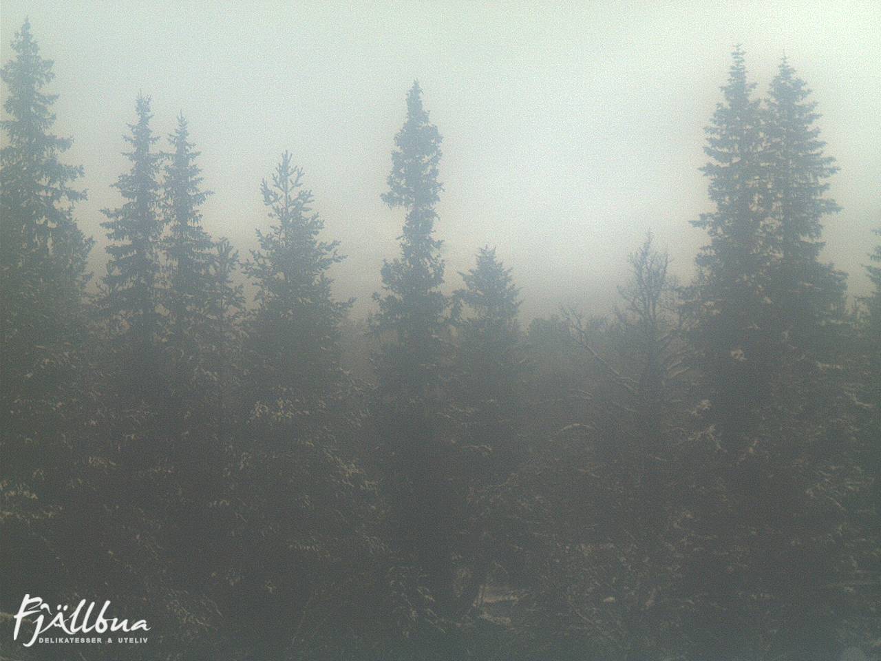 Fjällbua webcam 2024-10-31 16:00