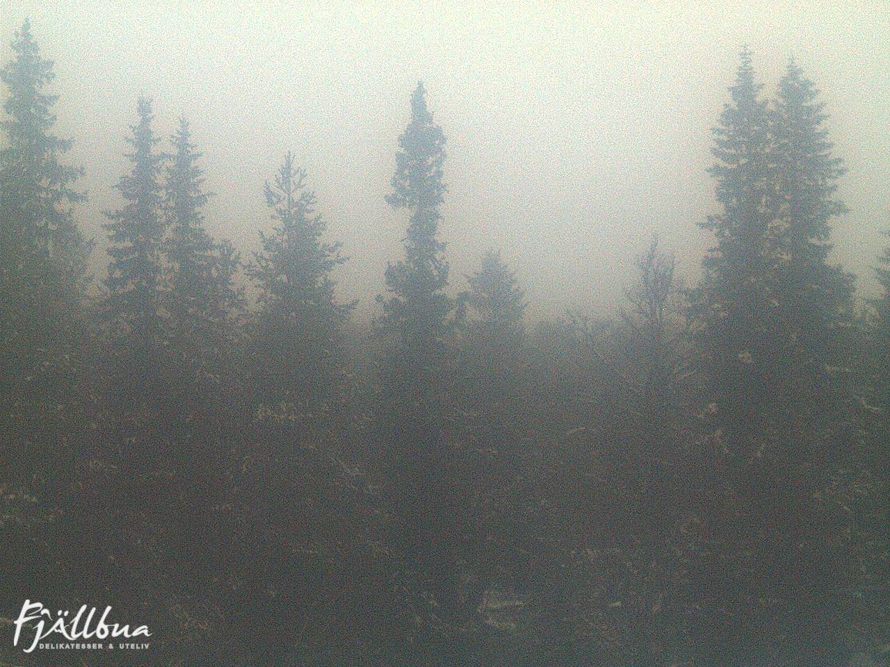 Fjällbua webcam 2024-10-31 16:30