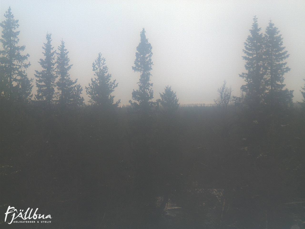 Fjällbua webcam 2024-11-01 09:30