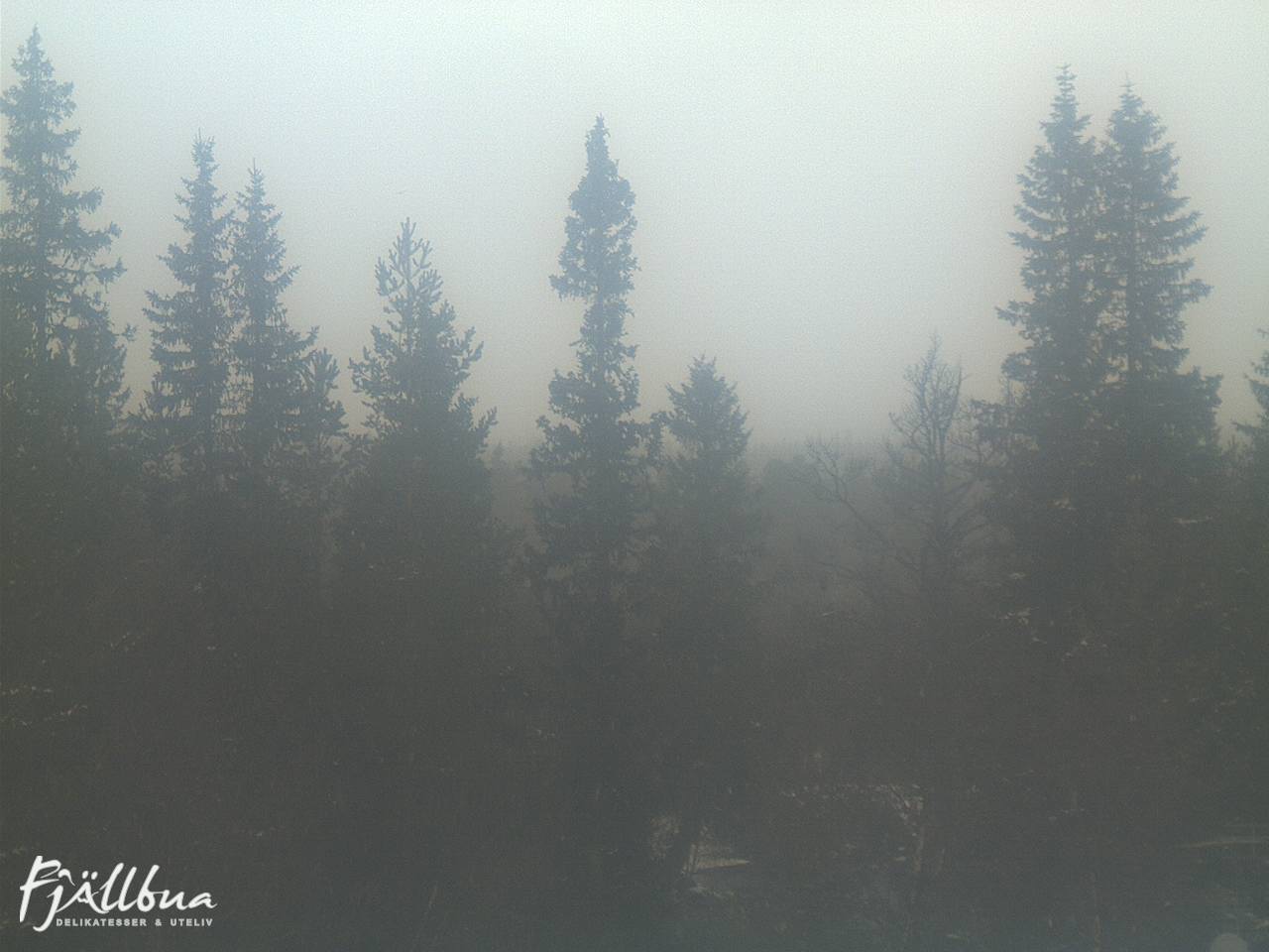 Fjällbua webcam 2024-11-01 10:00