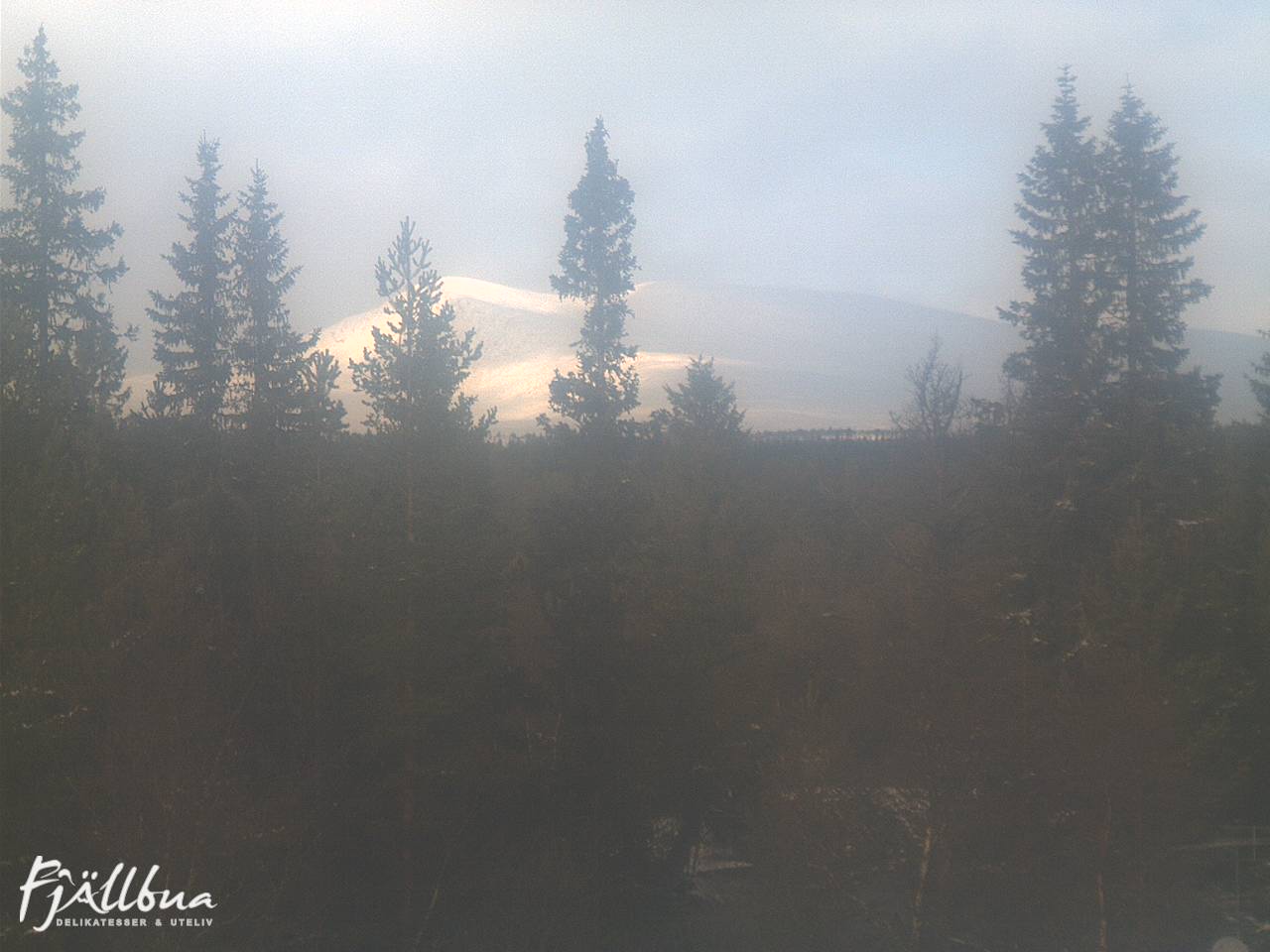 Fjällbua webcam 2024-11-01 10:30