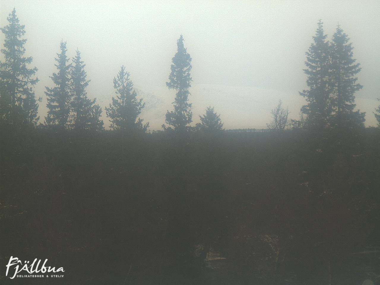 Fjällbua webcam 2024-11-01 11:00