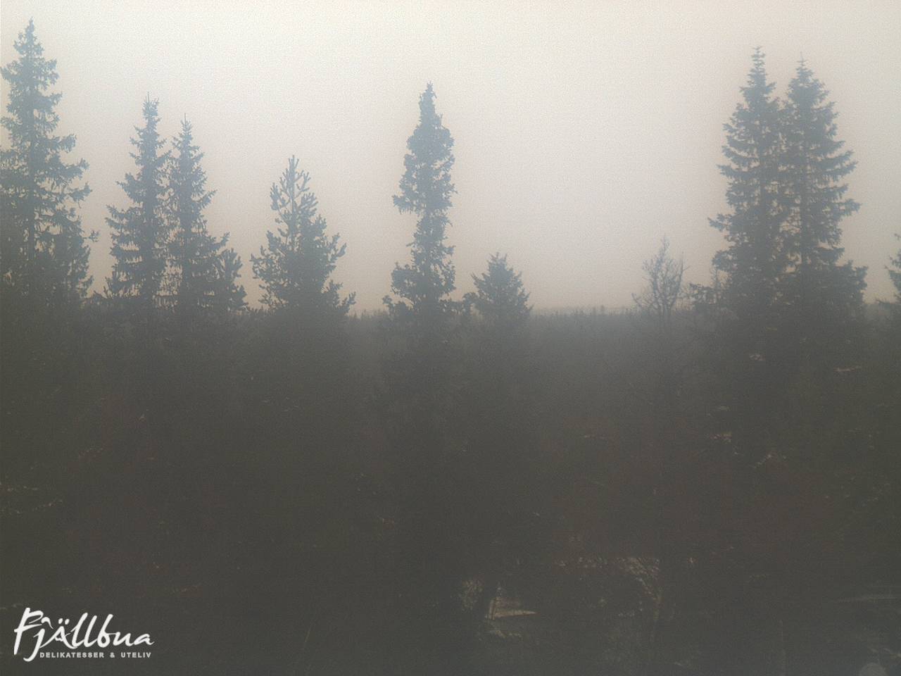Fjällbua webcam 2024-11-01 11:30