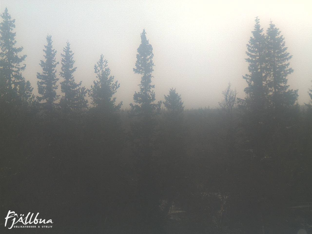 Fjällbua webcam 2024-11-01 12:00