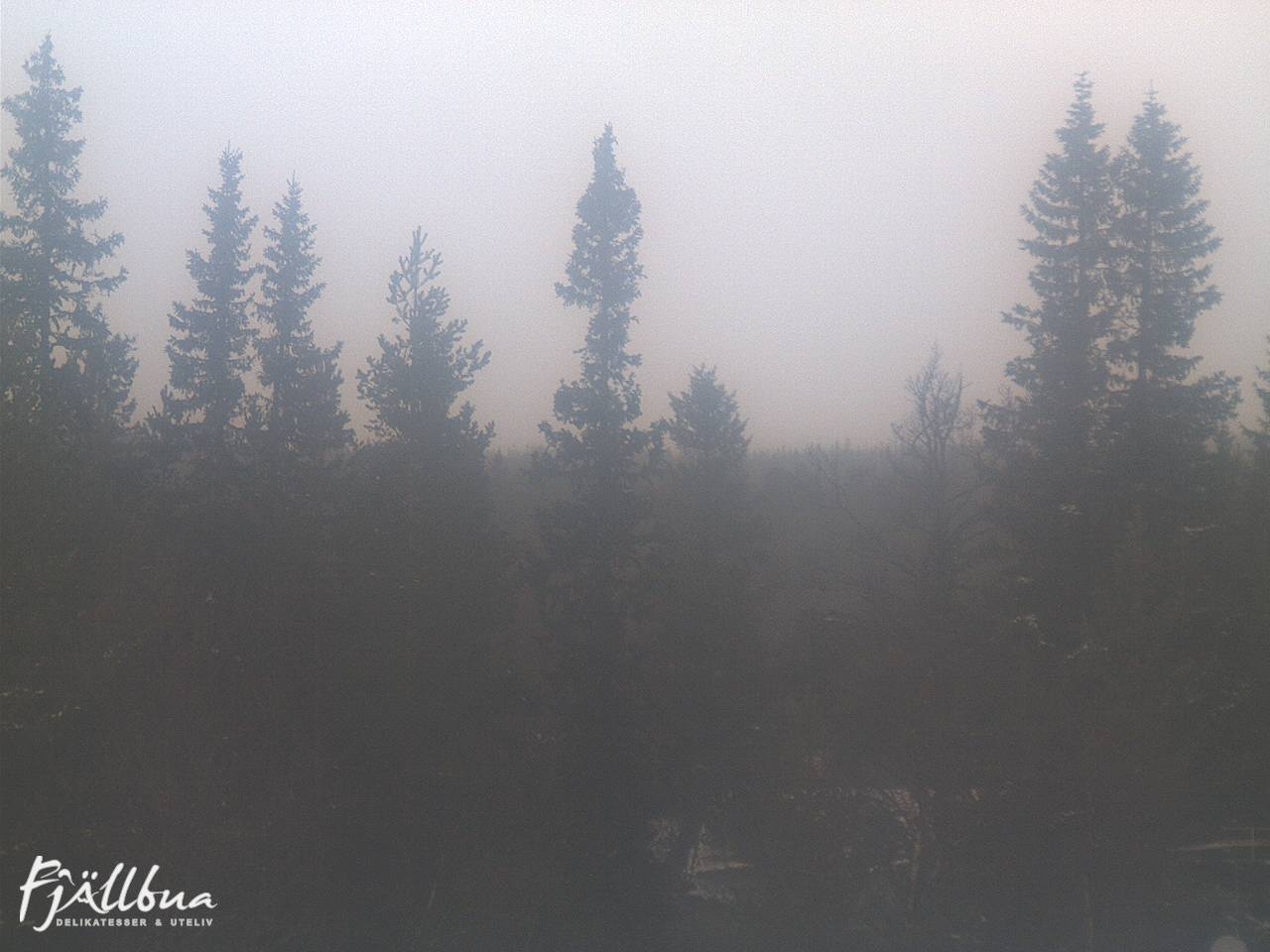 Fjällbua webcam 2024-11-01 12:30