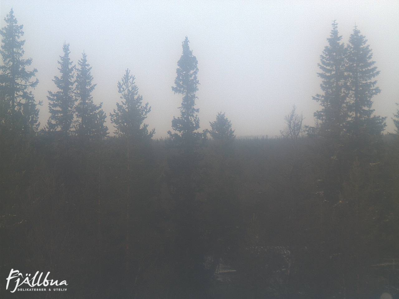 Fjällbua webcam 2024-11-01 13:00