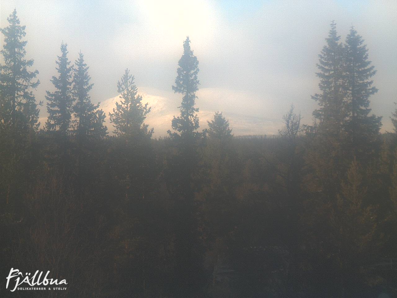 Fjällbua webcam 2024-11-01 14:30