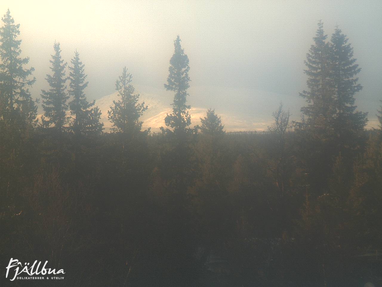 Fjällbua webcam 2024-11-01 15:00