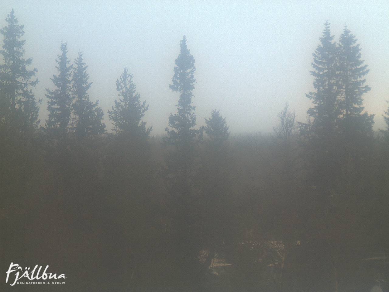 Fjällbua webcam 2024-11-02 09:00
