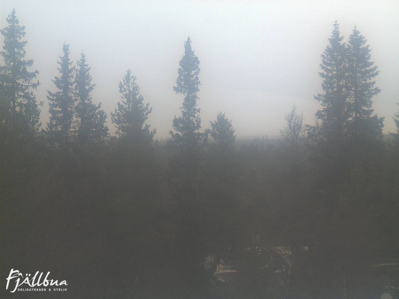 Fjällbua webcam 2024-11-02 12:00