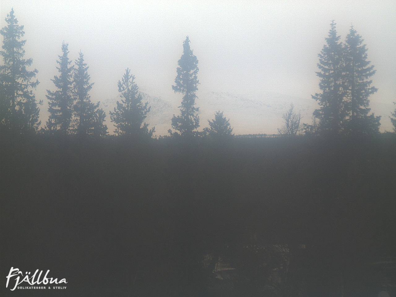 Fjällbua webcam 2024-11-02 13:00