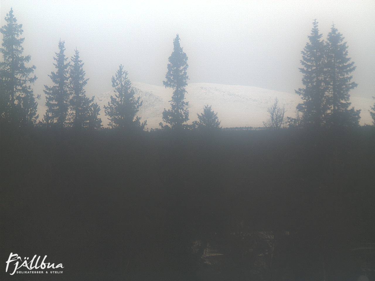 Fjällbua webcam 2024-11-02 13:30