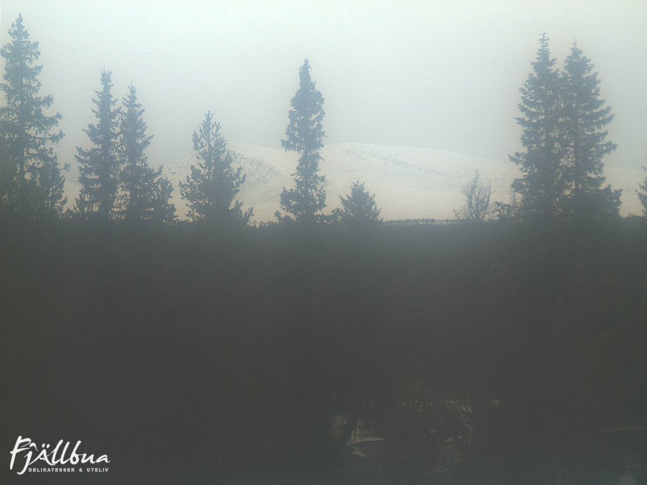 Fjällbua webcam 2024-11-02 14:00