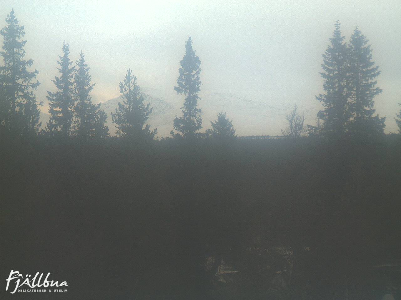 Fjällbua webcam 2024-11-02 14:30