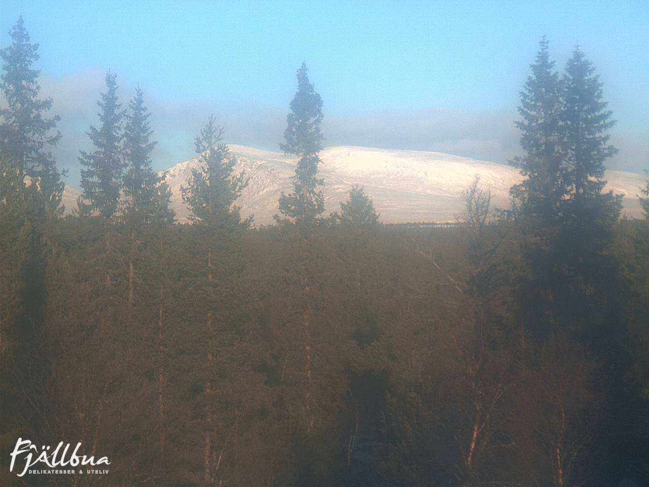 Fjällbua webcam 2024-11-03 09:00