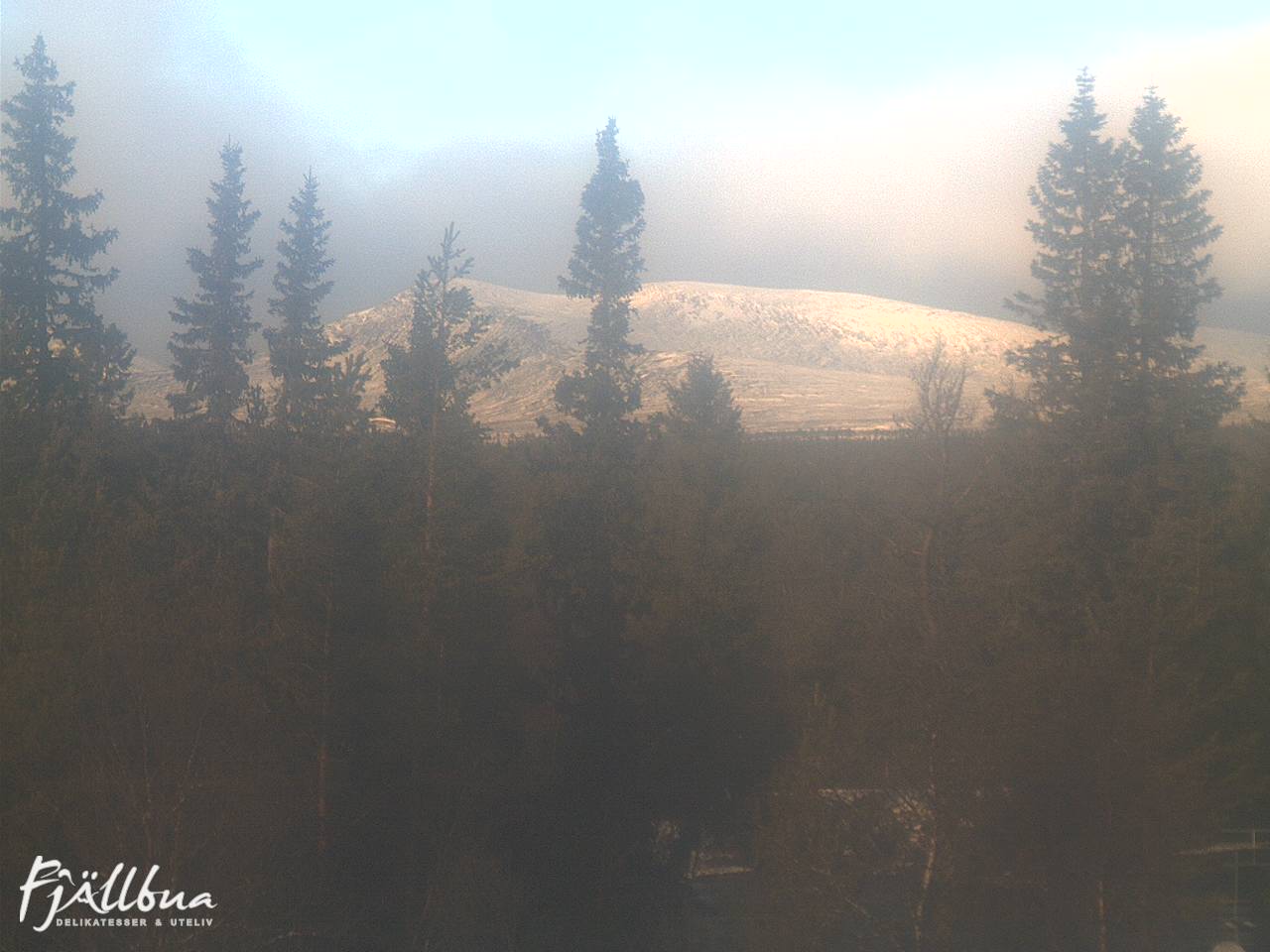 Fjällbua webcam 2024-11-03 11:30