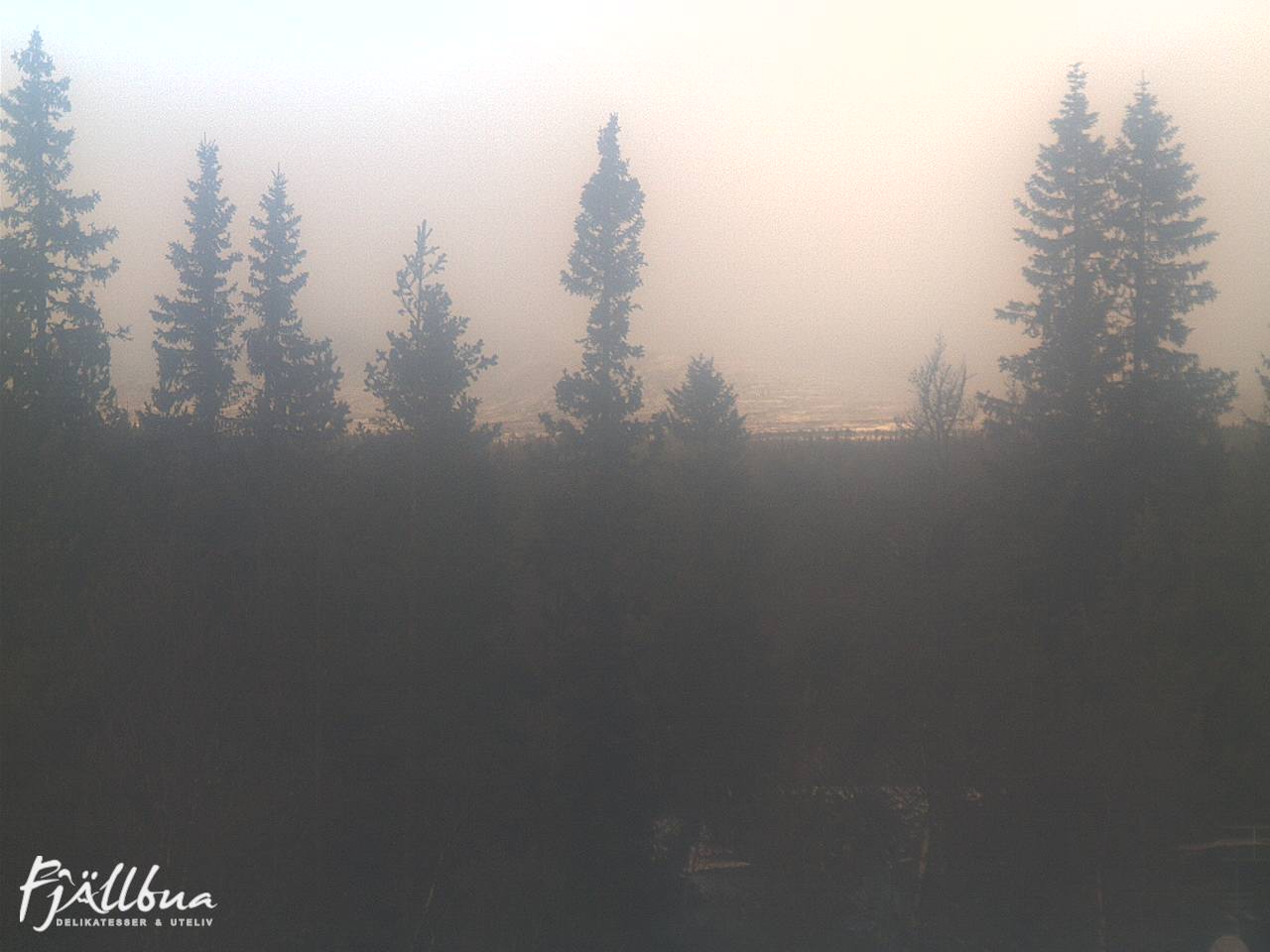 Fjällbua webcam 2024-11-03 12:00