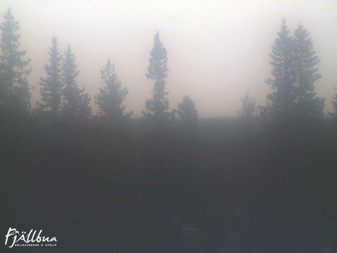 Fjällbua webcam 2024-11-03 13:30