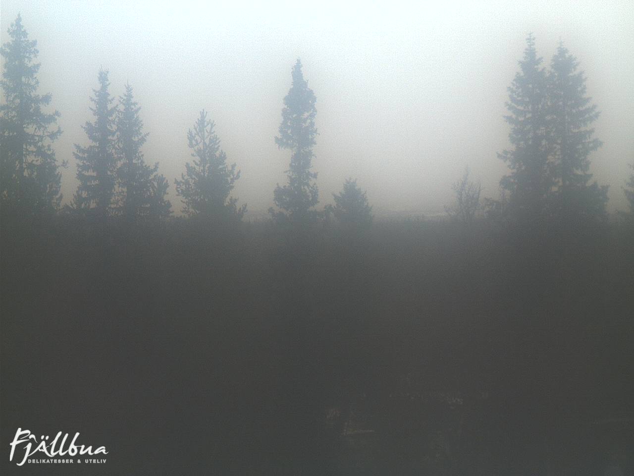 Fjällbua webcam 2024-11-03 14:00
