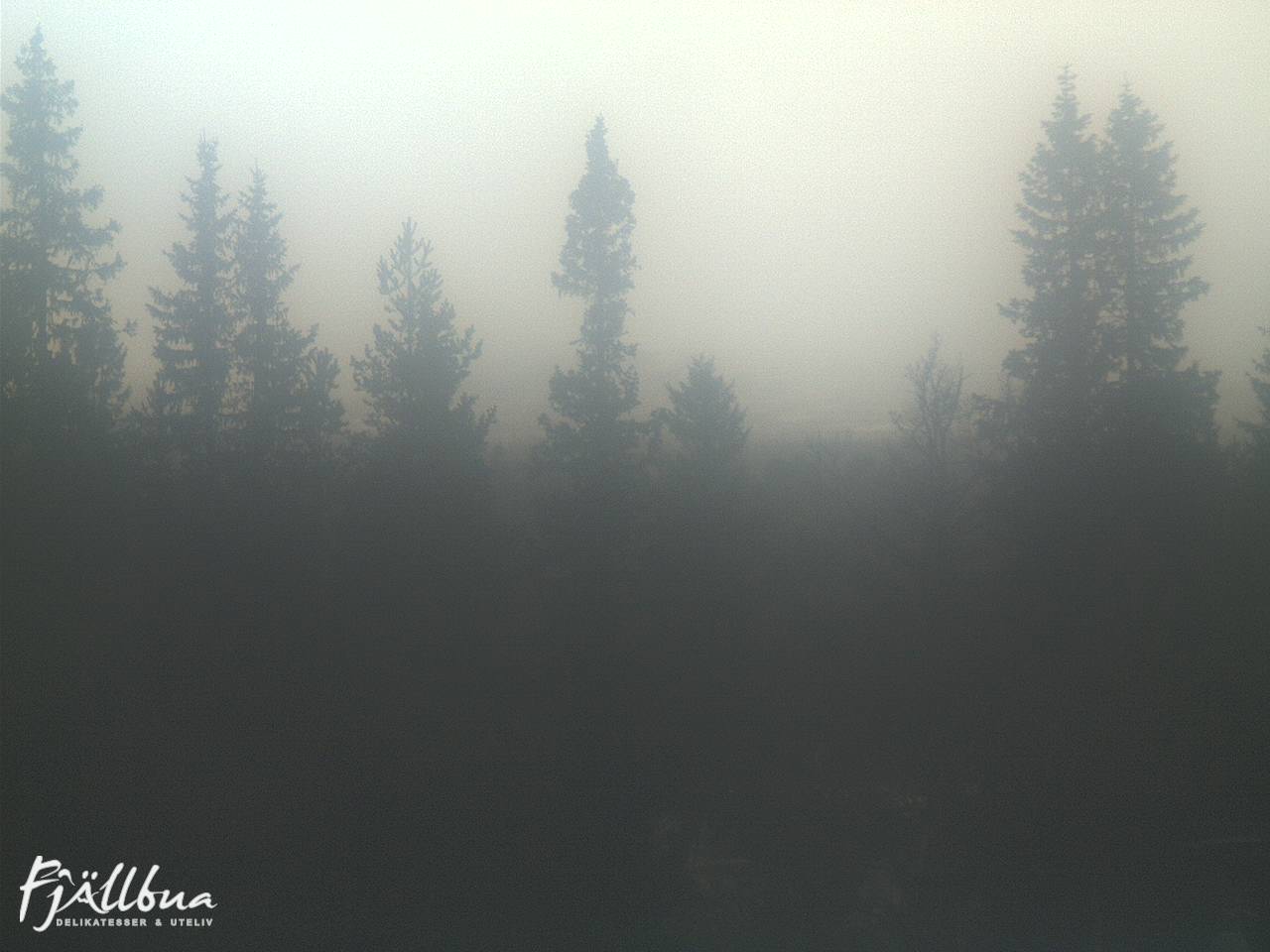 Fjällbua webcam 2024-11-03 14:30