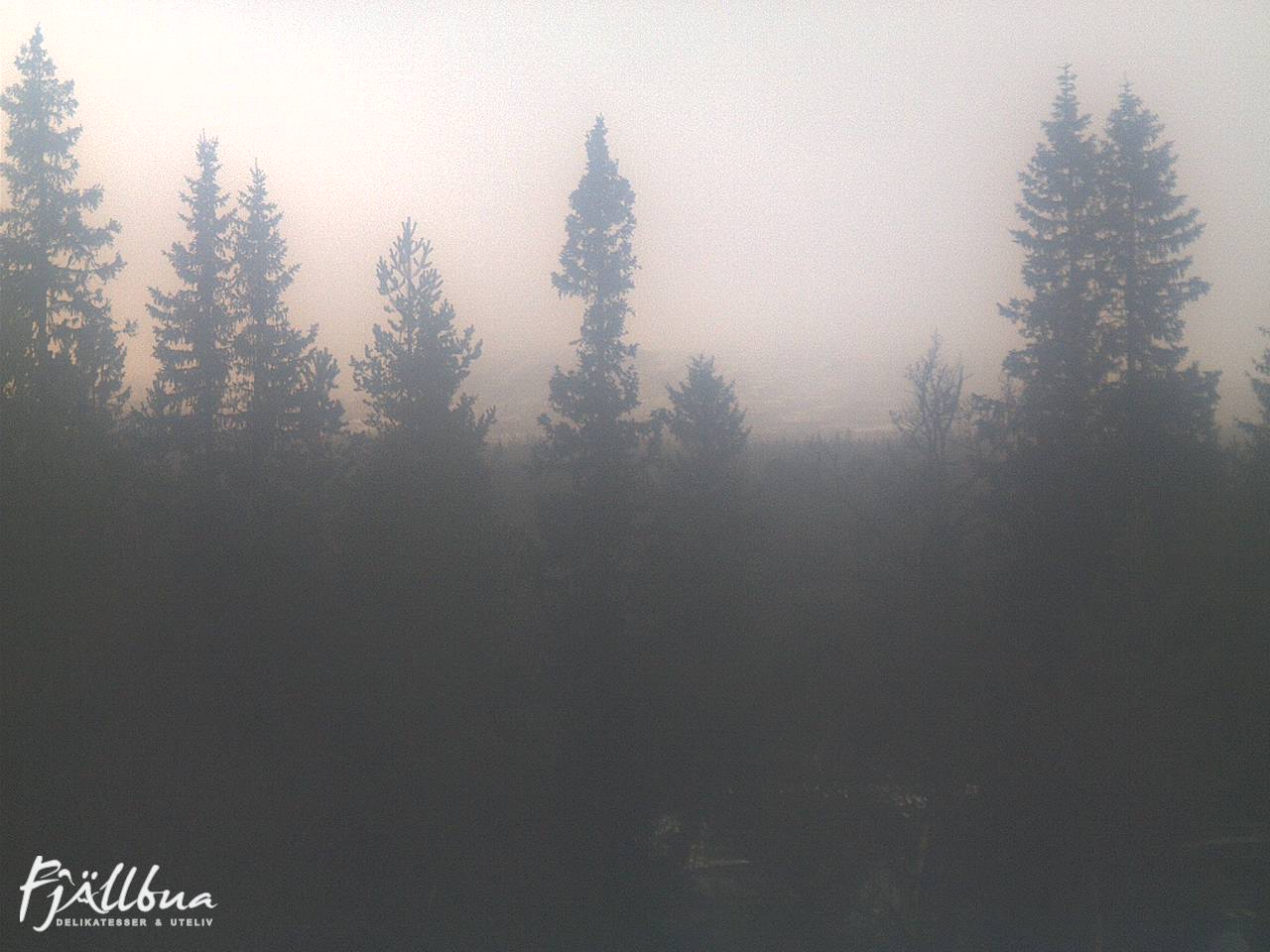 Fjällbua webcam 2024-11-03 15:00