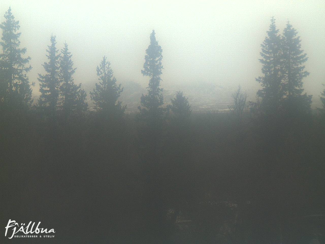 Fjällbua webcam 2024-11-03 15:30